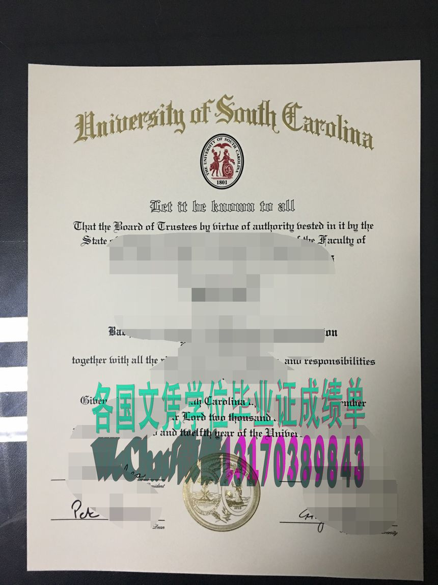 一比一仿南卡罗来纳大学学位证书