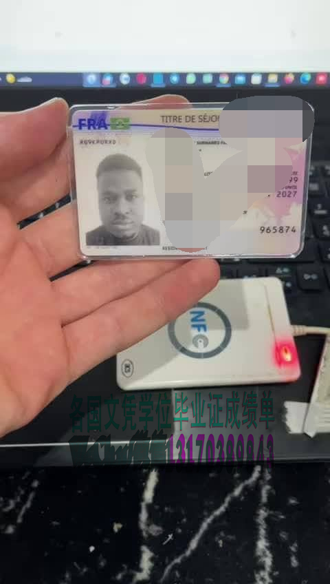 一比一仿法国居留卡