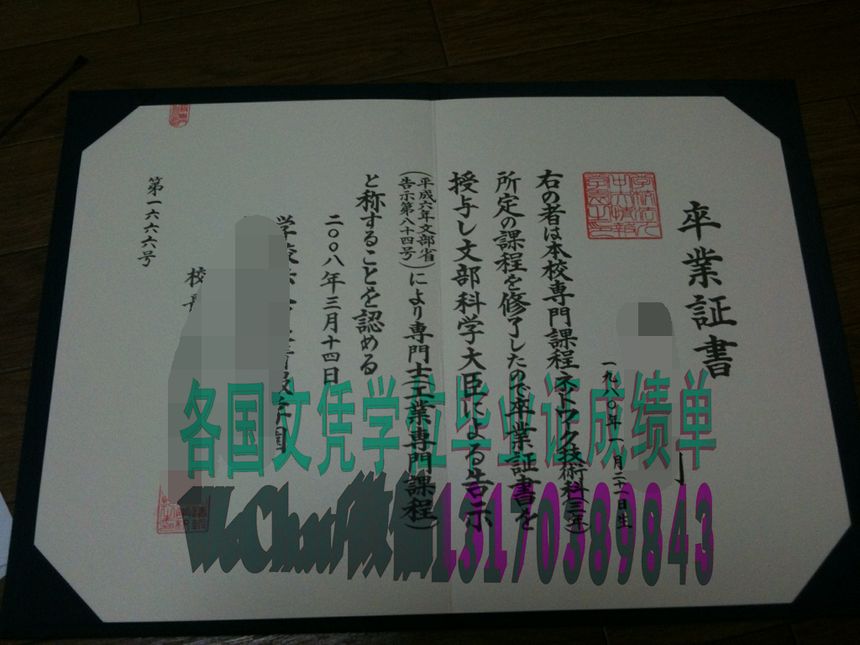 伪造中央情报专门学校学位证书