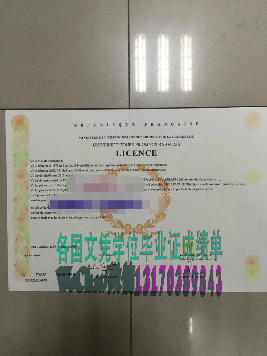 伪造图尔大学学位证书