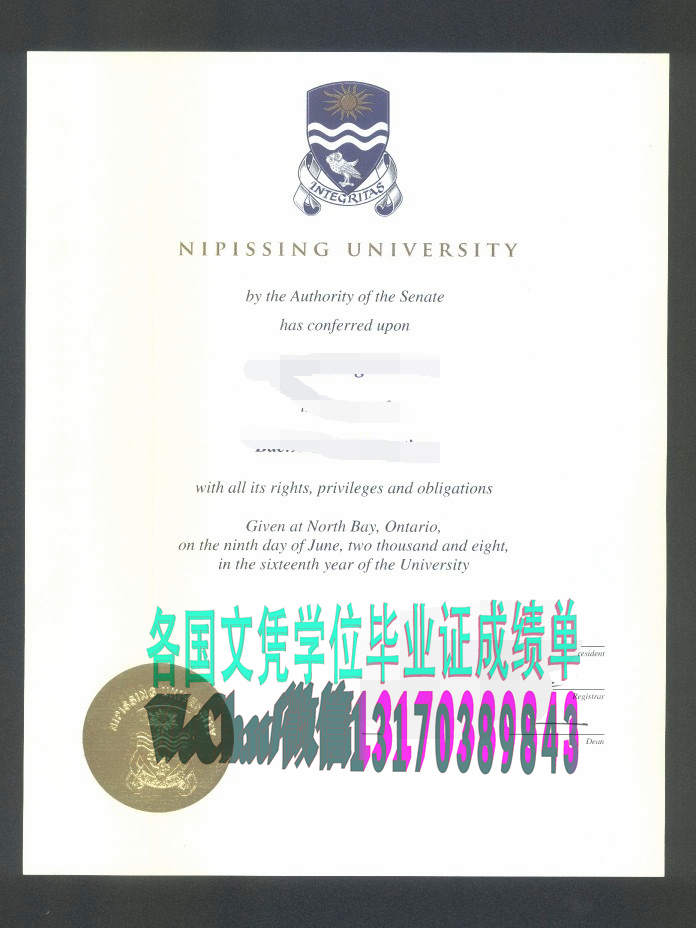 伪造尼皮辛大学成绩单