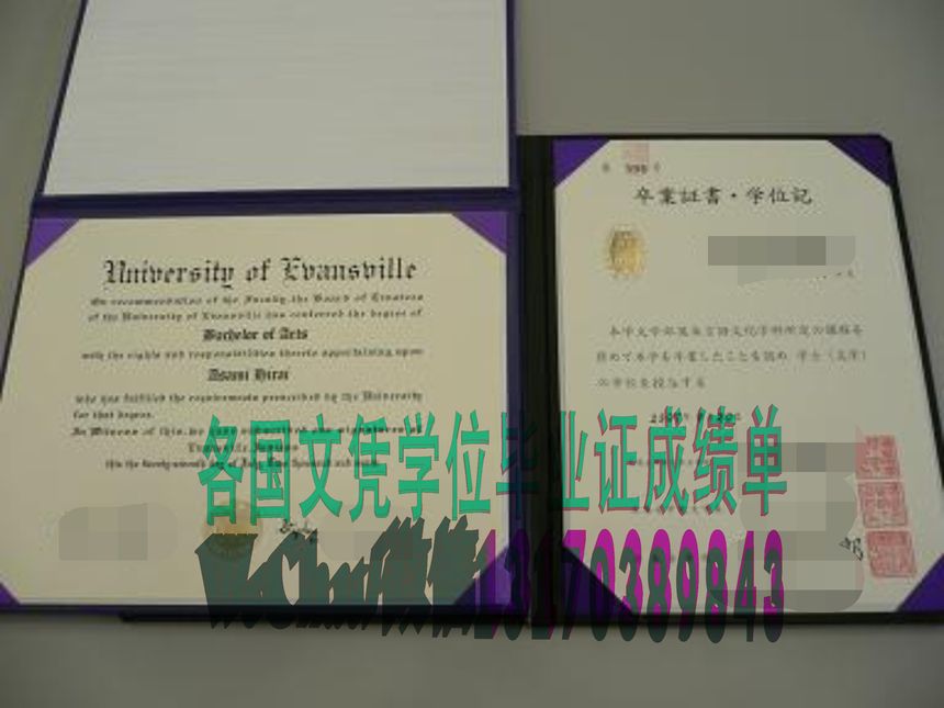 怎么仿制广岛女学院大学学位记