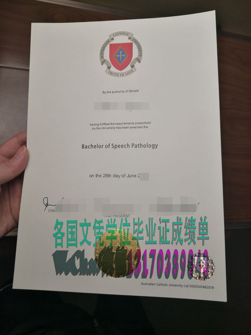 怎么造假澳大利亚天主教大学成绩单