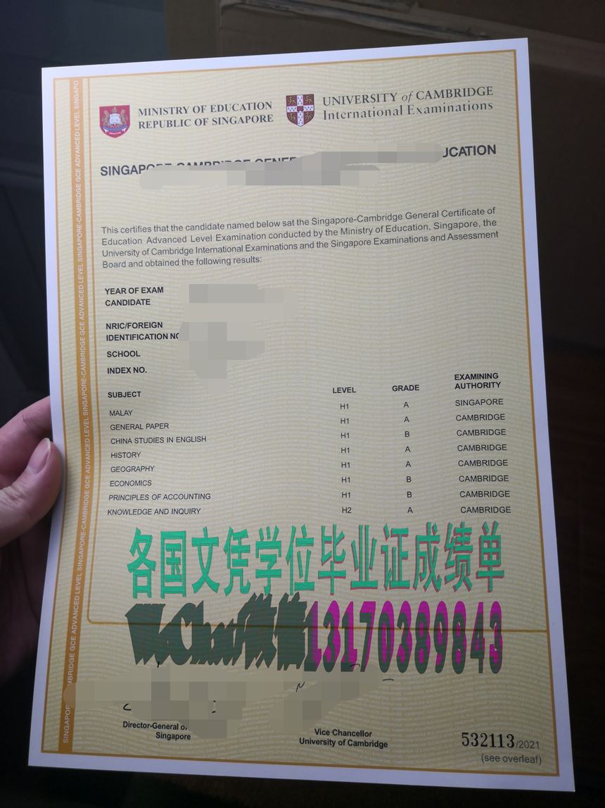 新加坡剑桥GCE高级水平C级证书作假