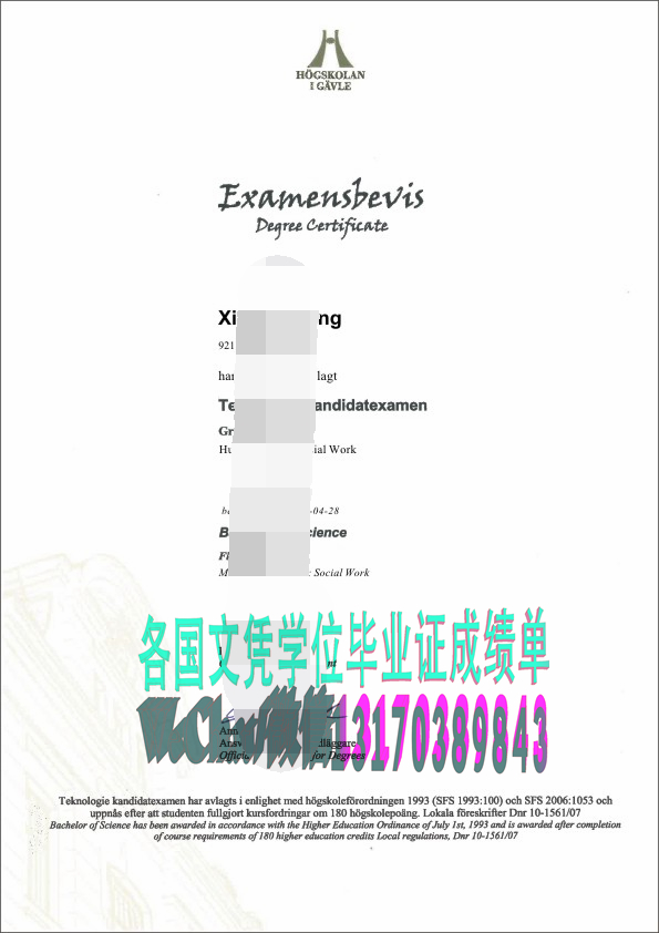 瑞典耶夫勒大学文凭哪里能做