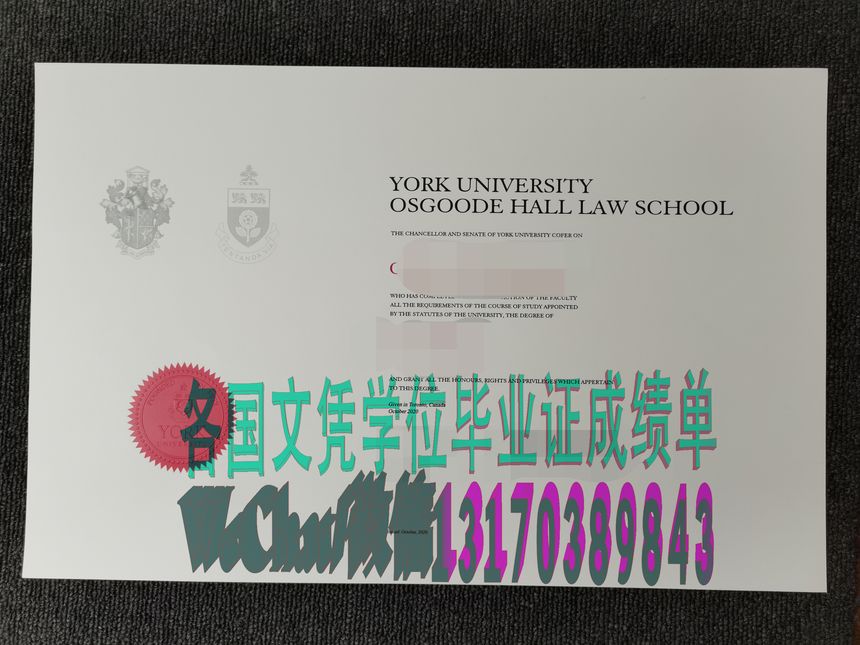 约克大学-奥斯古德霍尔法学院