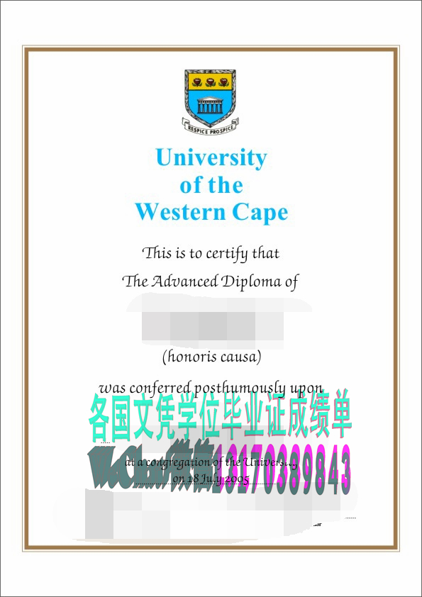 西开普大学毕业证哪里能做