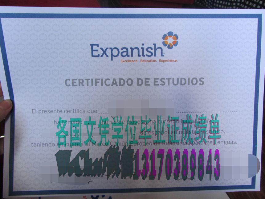 西班牙语初级A2证书作假