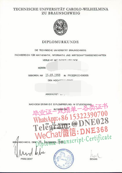不伦瑞克大学毕业证样本