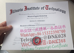 美国伊利诺理工学院毕业证样本